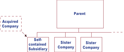 SelfContainedSubsidiary